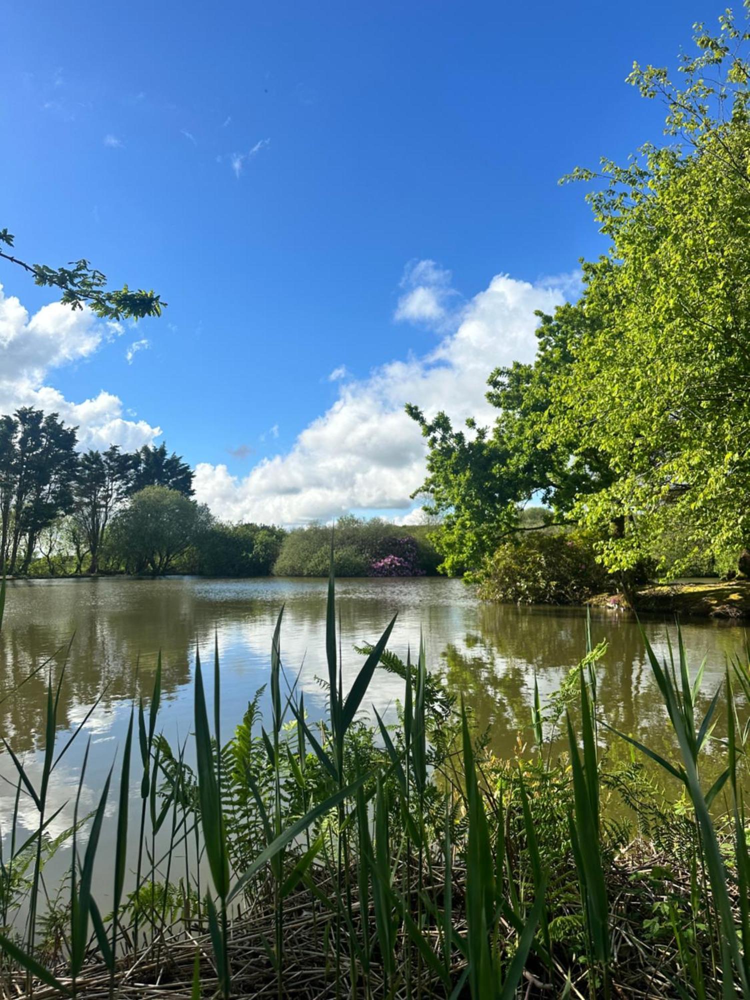 Lakeside Glamping Firecrest 세인트컬럼메이져 외부 사진